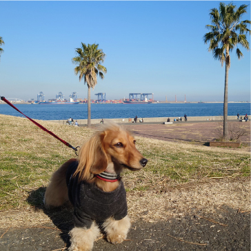 愛犬と遊んだり、カメラを片手に旅に出かけますね。